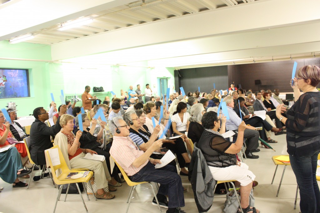 Member voting at an annual general meeting